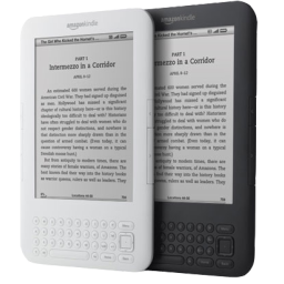 Amazon Kindle 4 Icon 256x256 png